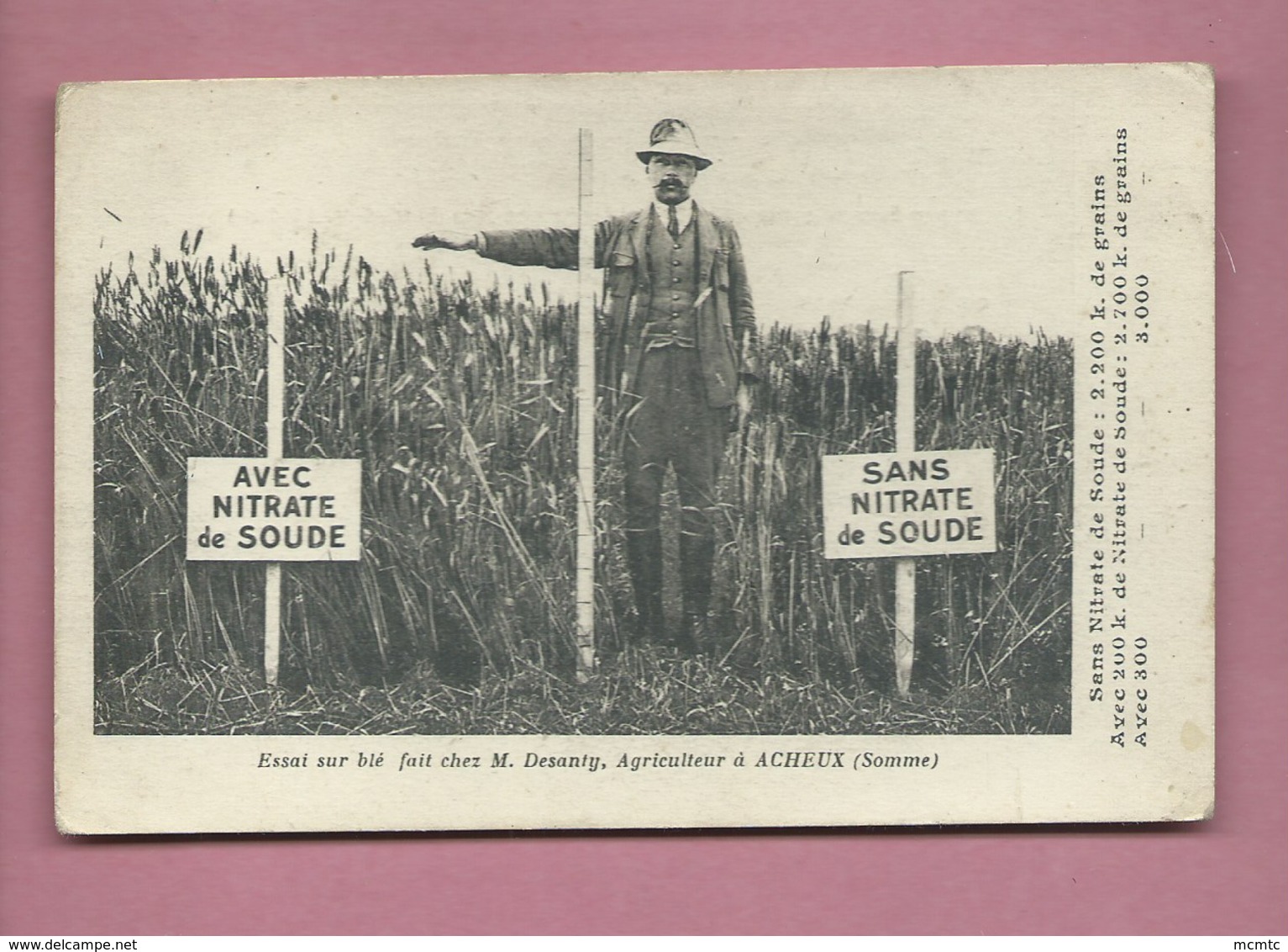 CPA - Essai Sur Blé Chez M.Desanty Agriculteur à  Acheux -(Somme) - Acheux En Amienois