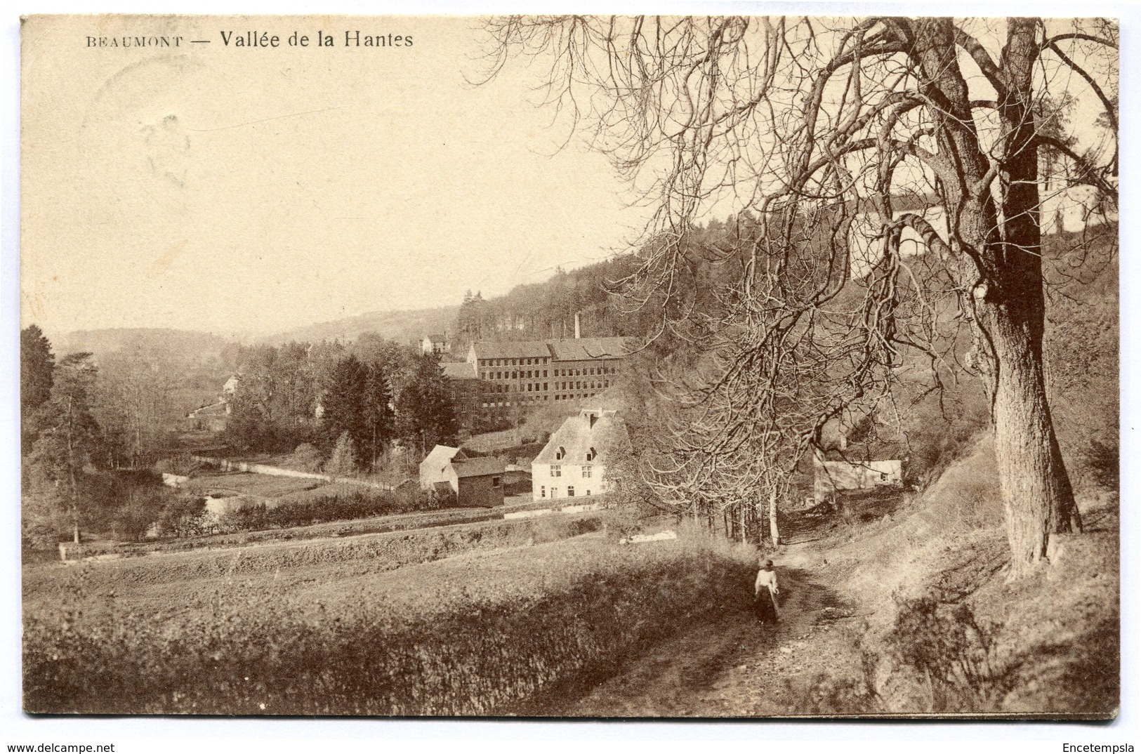 CPA - Carte Postale - Belgique - Beaumont - Vallée De La Hantes ( SV5565 ) - Beaumont