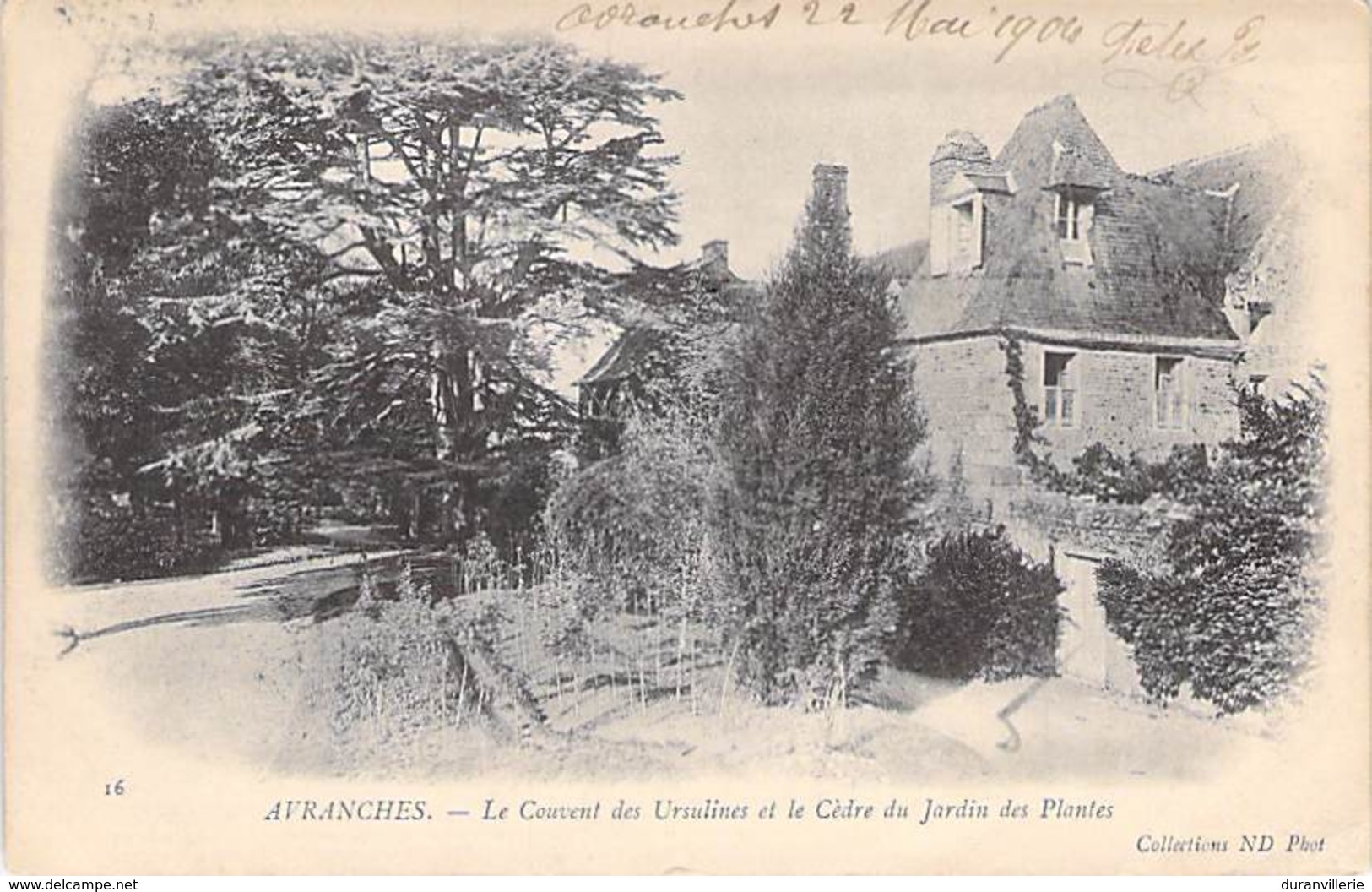 50 - Avranches. Le Couvent Des Ursulines Et Le Cèdre Du Jardin Des Plantes. 1904 - Avranches