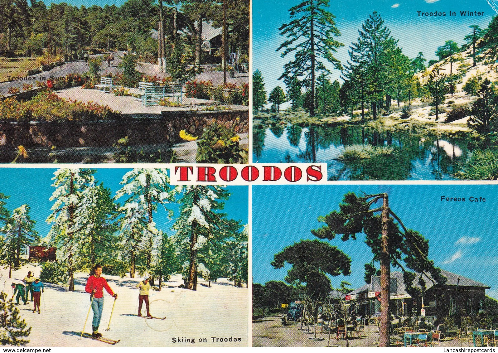 Postcard Troodos Cyprus Skiing And Fereos Cafe My Ref  B23104 - Cyprus