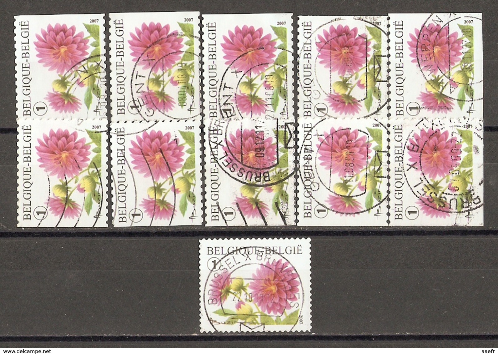 Belgique 2007 - Fleurs, Dahlia - Série Complète De Carnet - Petit Lot De 11 ° - 5 Timbres Différents (1 Non Adhésif) - Oblitérés