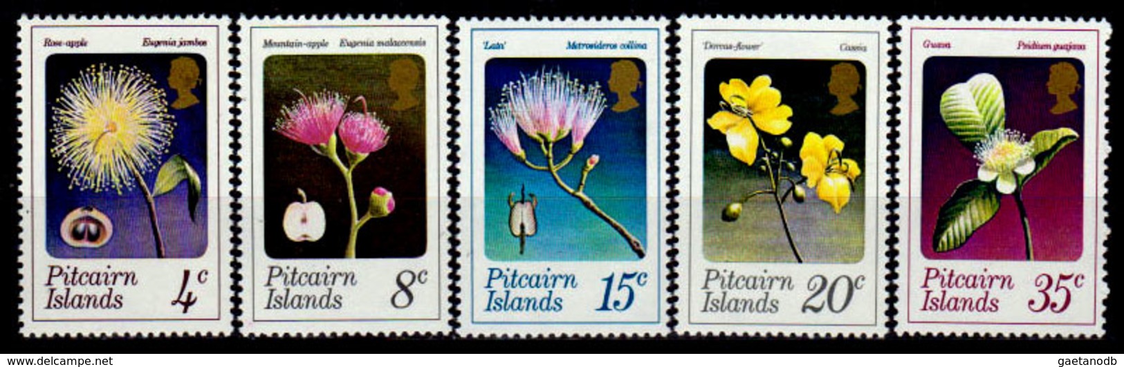 Pitcairn-0022 - Emissione 1973 (++) MNH - Senza Difetti Occulti. - Pitcairn