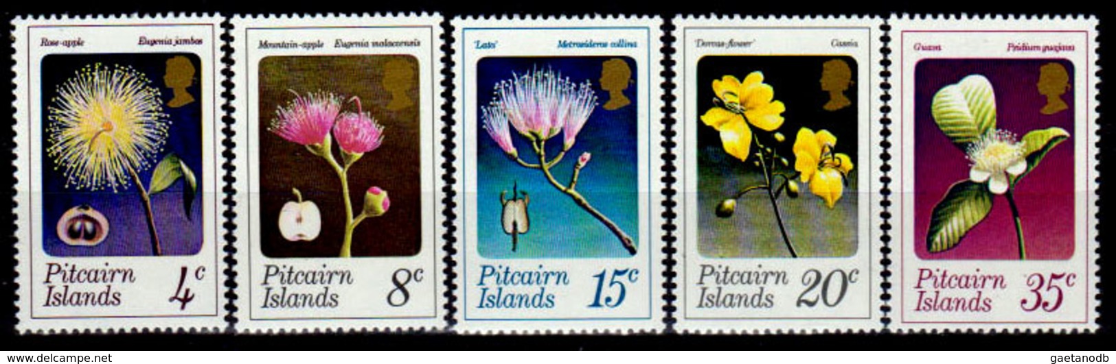 Pitcairn-0023 - Emissione 1973 (++) MNH - Senza Difetti Occulti. - Pitcairn