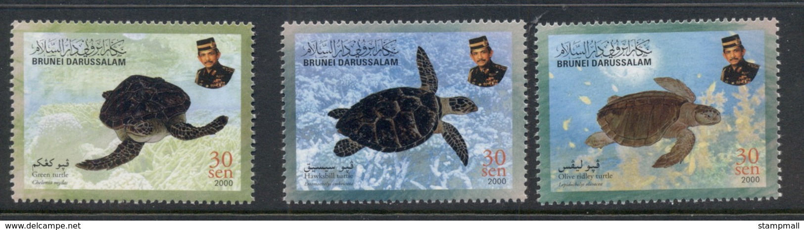 Brunei 2000 Marine Life Turtles MUH - Brunei (1984-...)