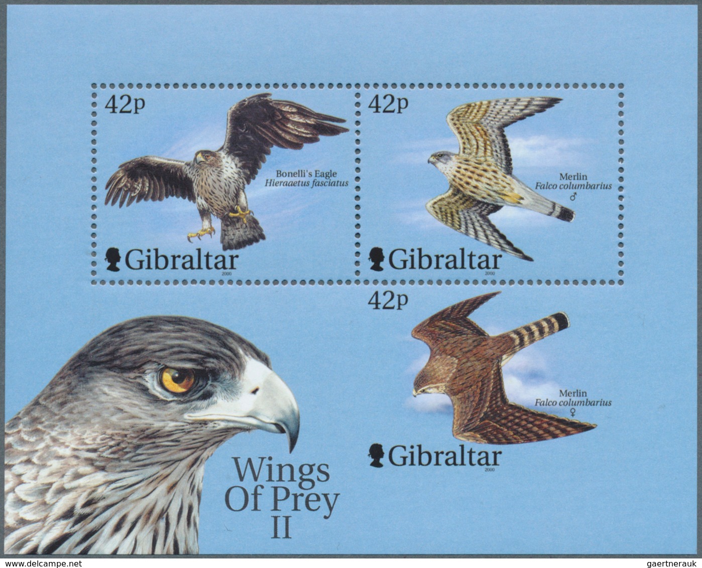 Gibraltar: 2000, Birds Of Prey, Souvenir Sheet, 42 P Stamp "Merlin (Falco Columbarius)" With Missing - Gibilterra