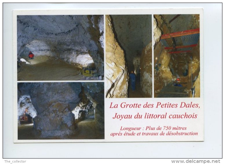 Cp Sur Multivues - La Grotte Des Petites Dalles - ST Martin Aux Bruneaux - Autres & Non Classés