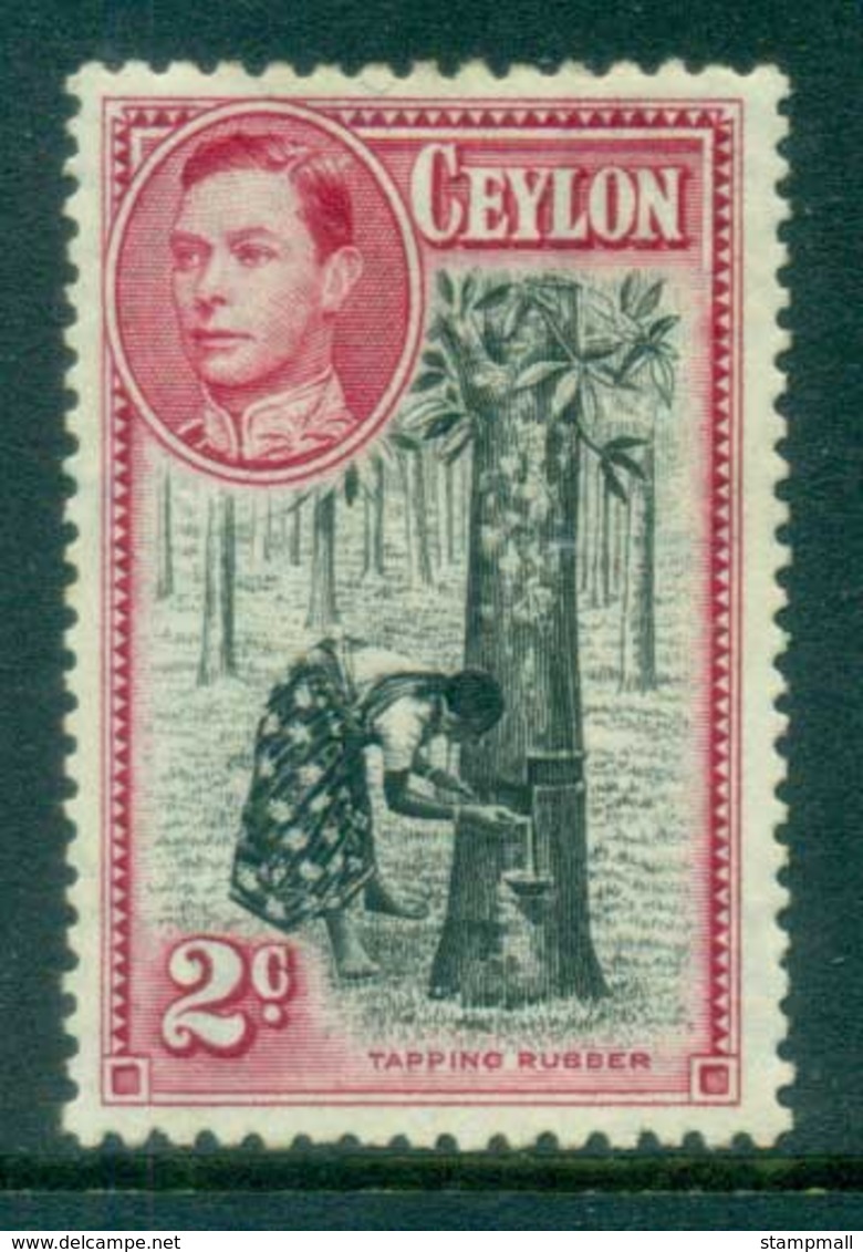 Ceylon 1938-52 KGVI Tapping Rubber 2c Perf 11.5x13 MLH Lot82464 - Sri Lanka (Ceylon) (1948-...)