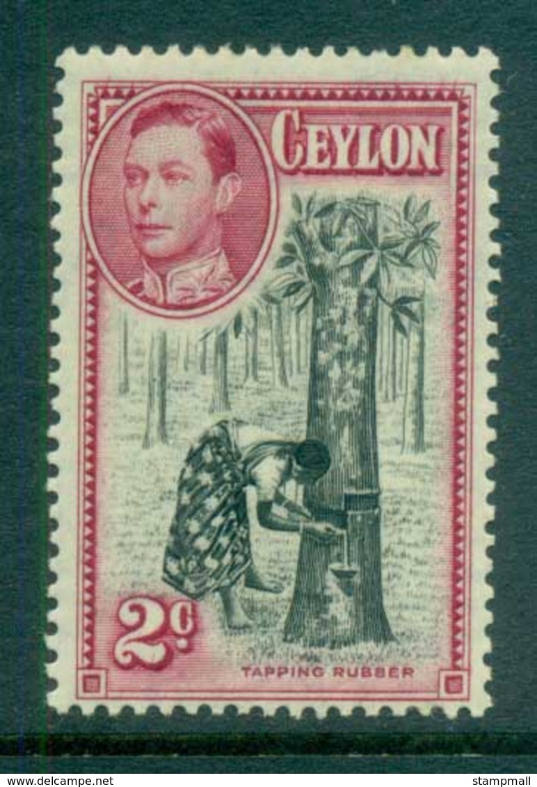 Ceylon 1938-52 KGVI Tapping Rubber 2c Perf 13.5x13 MLH Lot82465 - Sri Lanka (Ceylon) (1948-...)