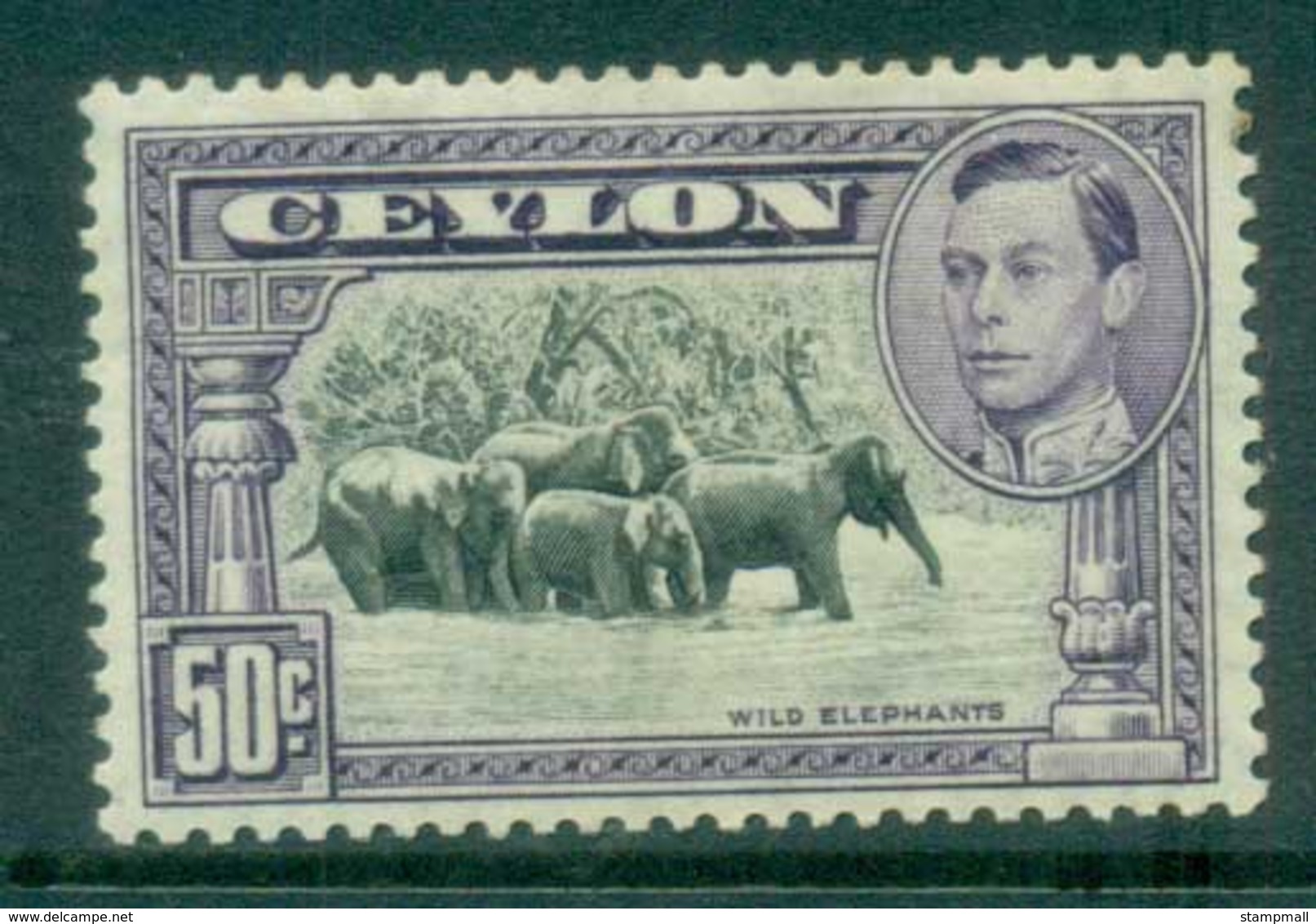 Ceylon 1938-52 KGVI Wild Elephants 50c Perf 13x13.5 MLH Lot82472 - Sri Lanka (Ceylon) (1948-...)