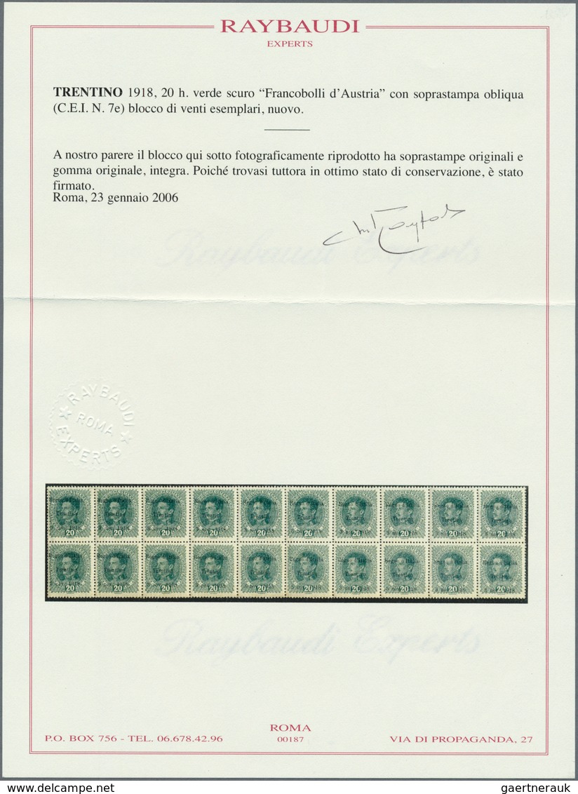 Italienische Besetzung 1918/23 - Trentino: 1918, Stamp Of Austria, 20h Dark Green, With Overprint IN - Trentino