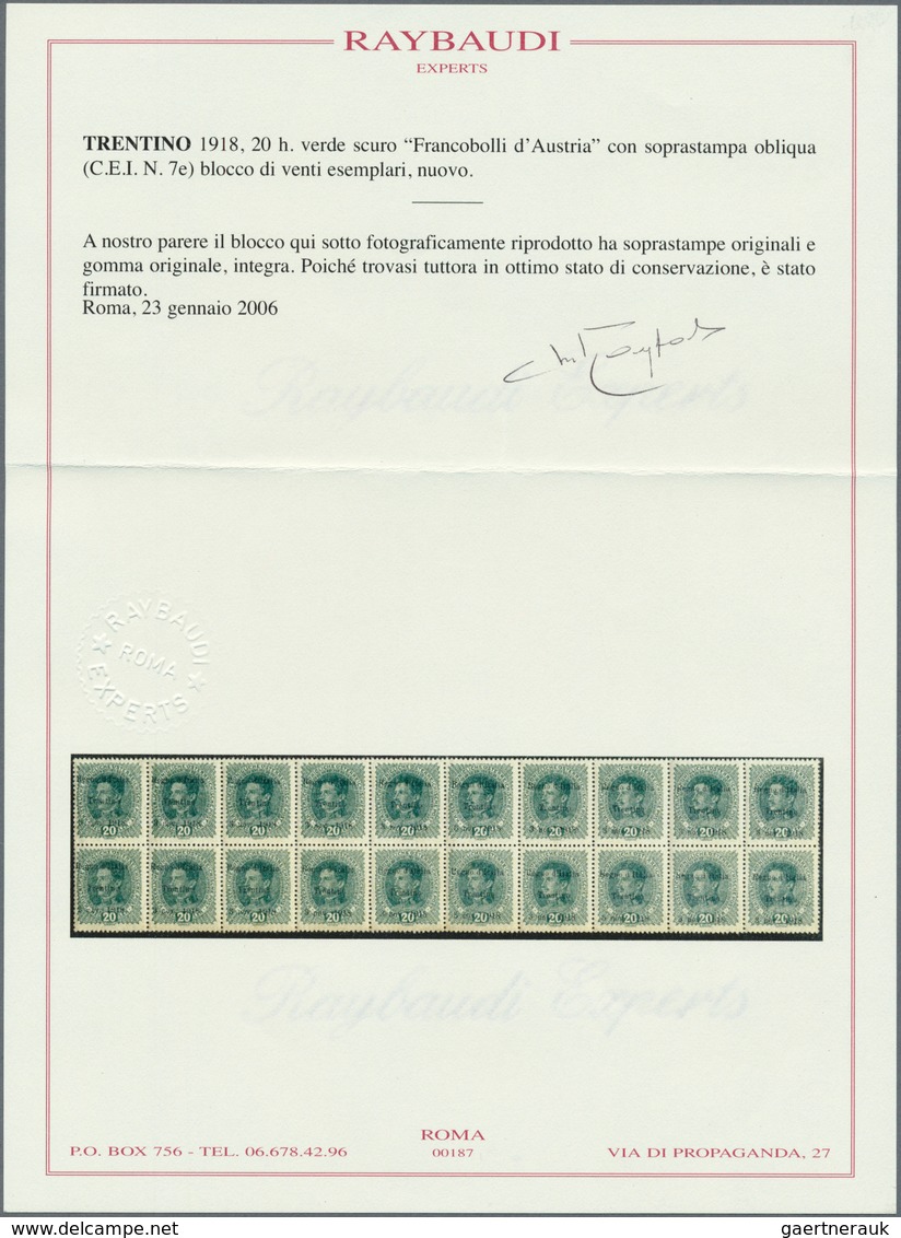 Italienische Besetzung 1918/23 - Trentino: 1918, Stamp Of Austria, 20h Dark Green, With Overprint IN - Trento