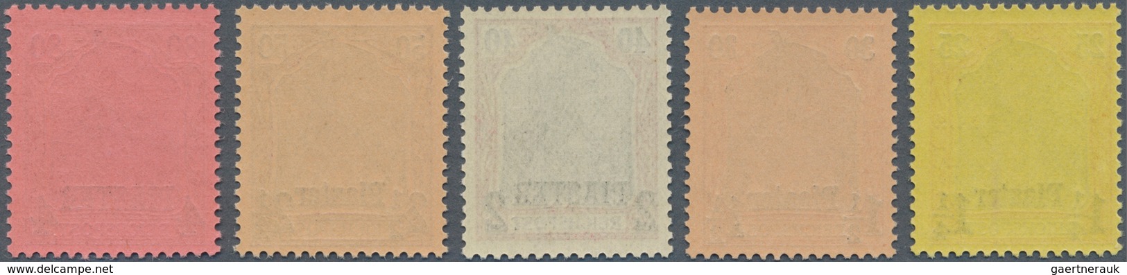 Deutsche Post In Der Türkei: 1902, Germania Aufdruck-Serie 5 Werte In Abweichender Schrifttype Tadel - Turquie (bureaux)