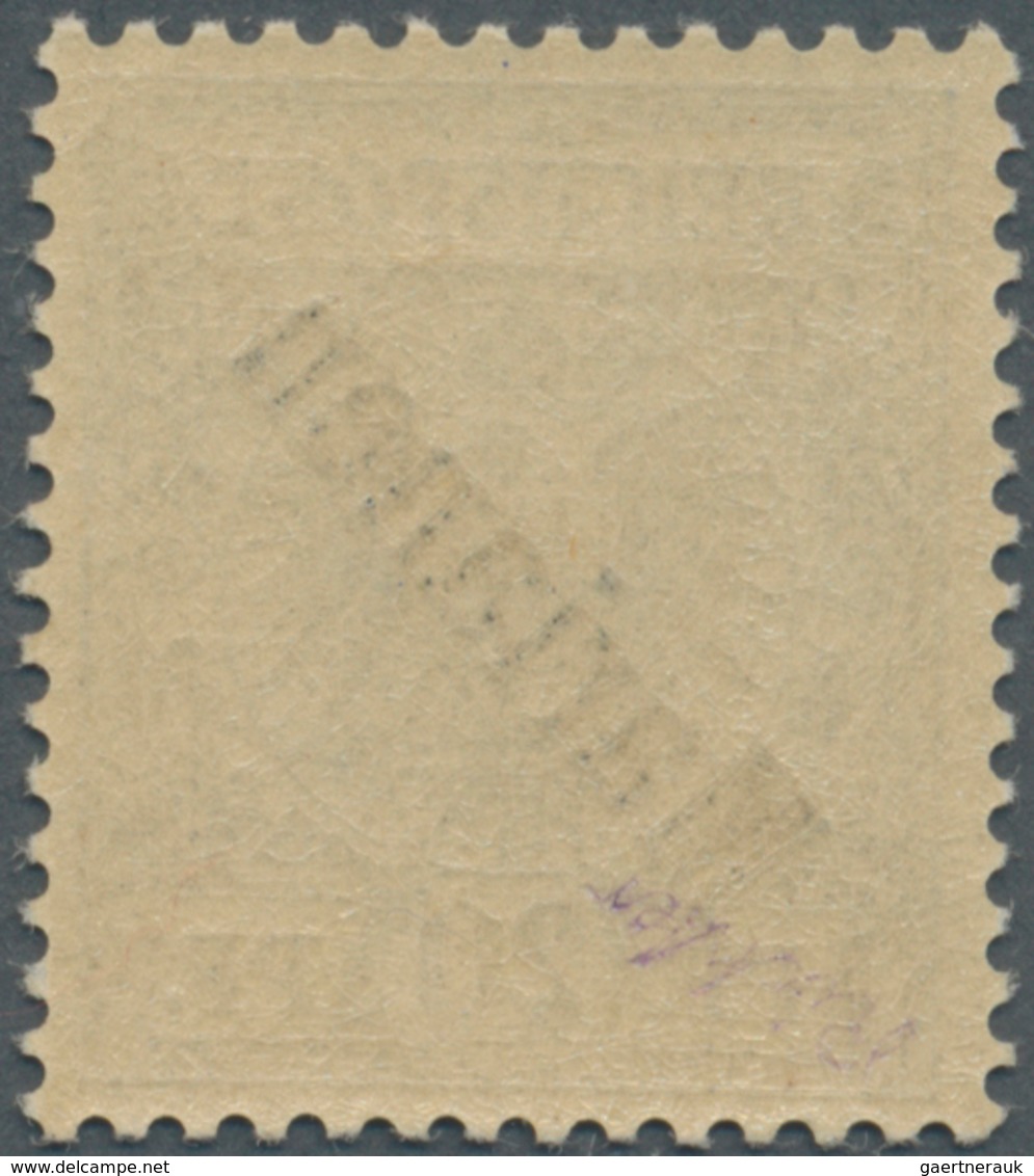 Deutsche Kolonien - Marianen: 1899, 20 Pf Violettultramarin Mit Diagonalem (48°) Aufdruck "Marianen" - Mariana Islands