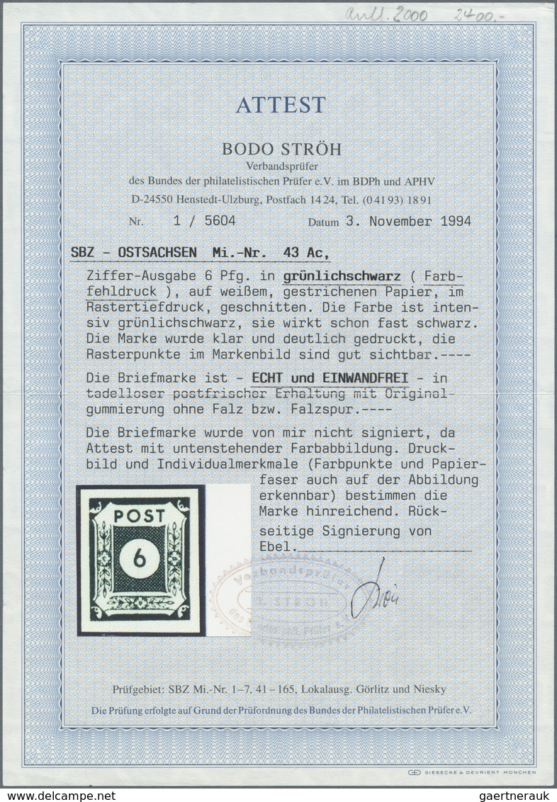 Sowjetische Zone - Ost-Sachsen: 1945, Ziffernausgabe 6 (Pf) Grünschwarz, Postfrisches Exemplar Der F - Altri & Non Classificati