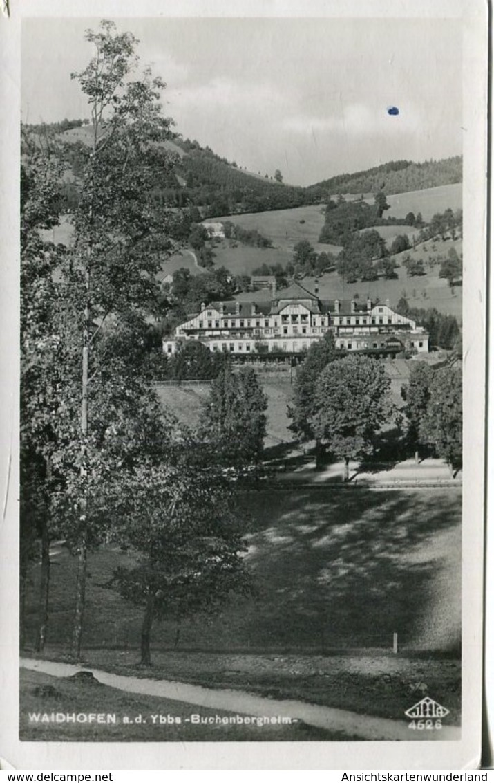 005403  Waidhofen A. D. Ybbs - Buchenbergheim  1936 - Waidhofen An Der Ybbs