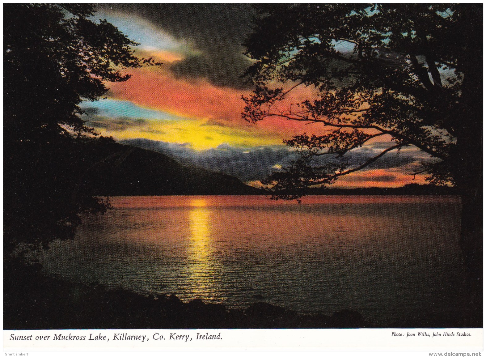 Sunset Over Muckross Lake, Killarney, Co. Kerry, Ireland - Unused - Kerry