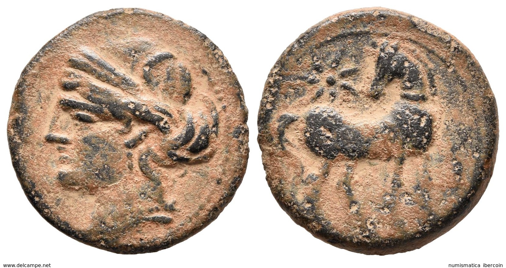 ZEUGITANIA. Calco. 215-201 A.C. Carthago. A/ Cabeza De Tanit Coronada Con Grano / Caballo Parado, Cabeza Vuelta Y Estrel - Other & Unclassified