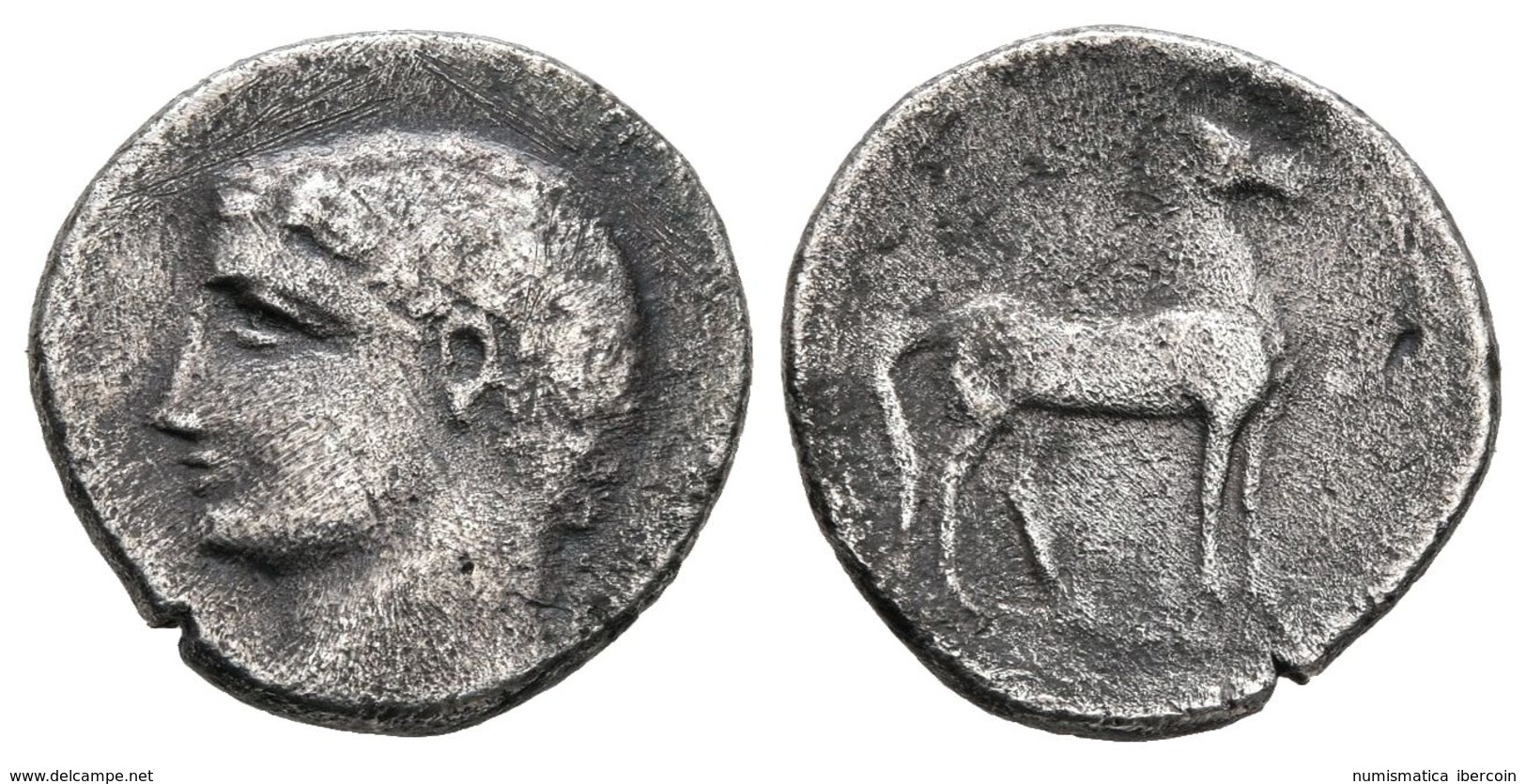 CARTAGONOVA. 1/2 Shekel. 220-205 A.C. Cartagena (Murcia). A/ Cabeza Masculina A Izquierda. R/ Caballo Parado A Derecha.  - Sonstige & Ohne Zuordnung