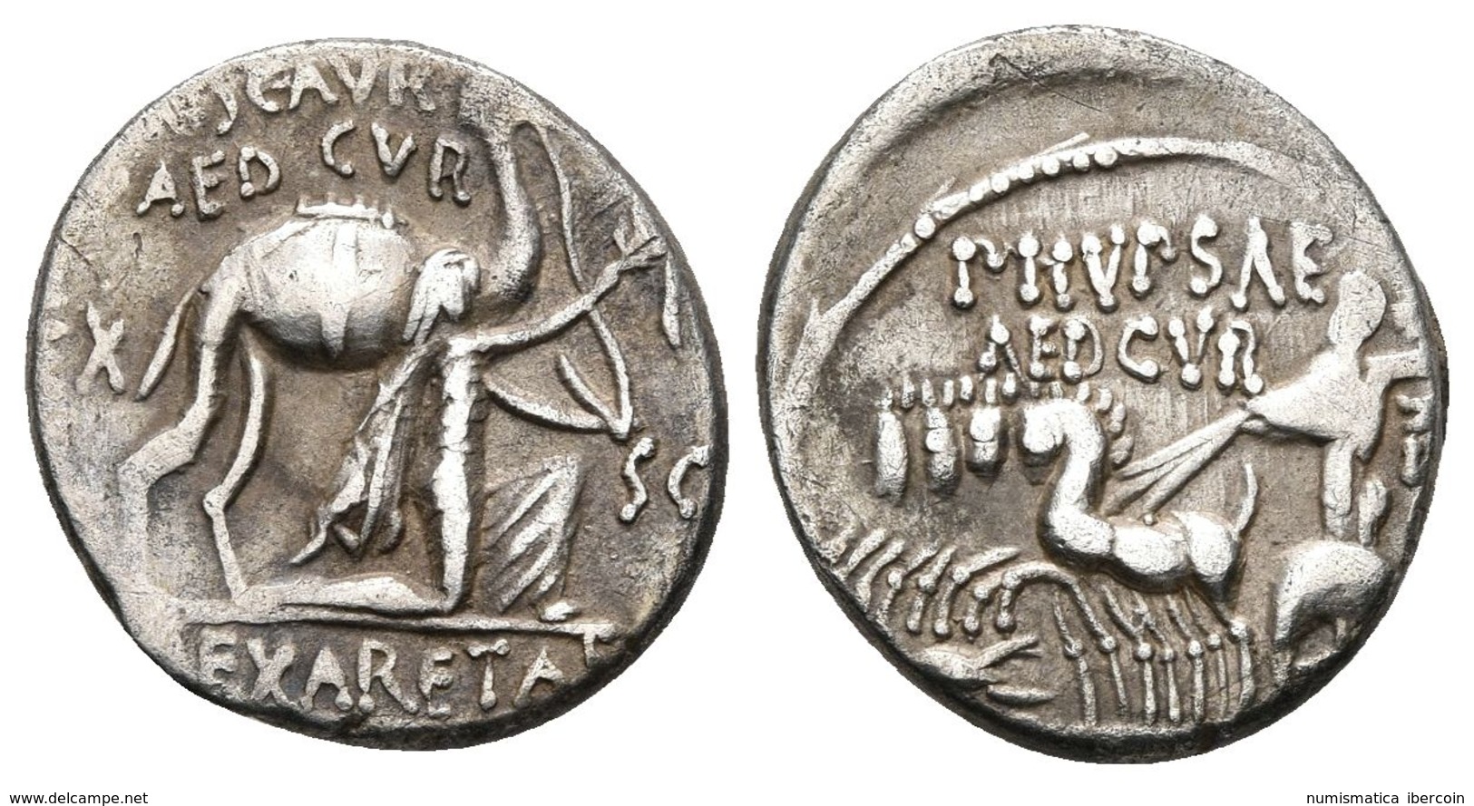 M. AEMILIUS SCAURUS Y P. PLAUTIUS HYPSAEUS. Denario. 58 A.C. Roma. A/ Figura Arrodillada A La Derecha (Rey Aretas De Nab - Republic (280 BC To 27 BC)