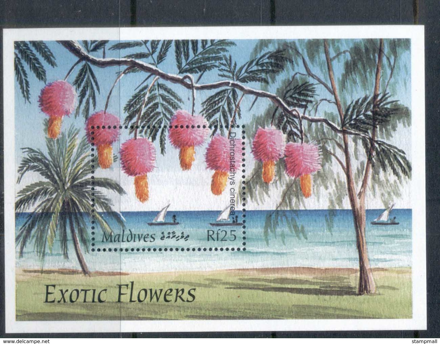 Maldive Is 1997 Flowers MS MUH - Maldives (1965-...)