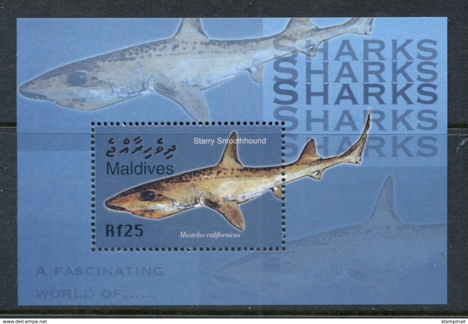 Maldive Is 2004 Marine Life, Fascinating World Of Sharks MS MUH - Maldives (1965-...)