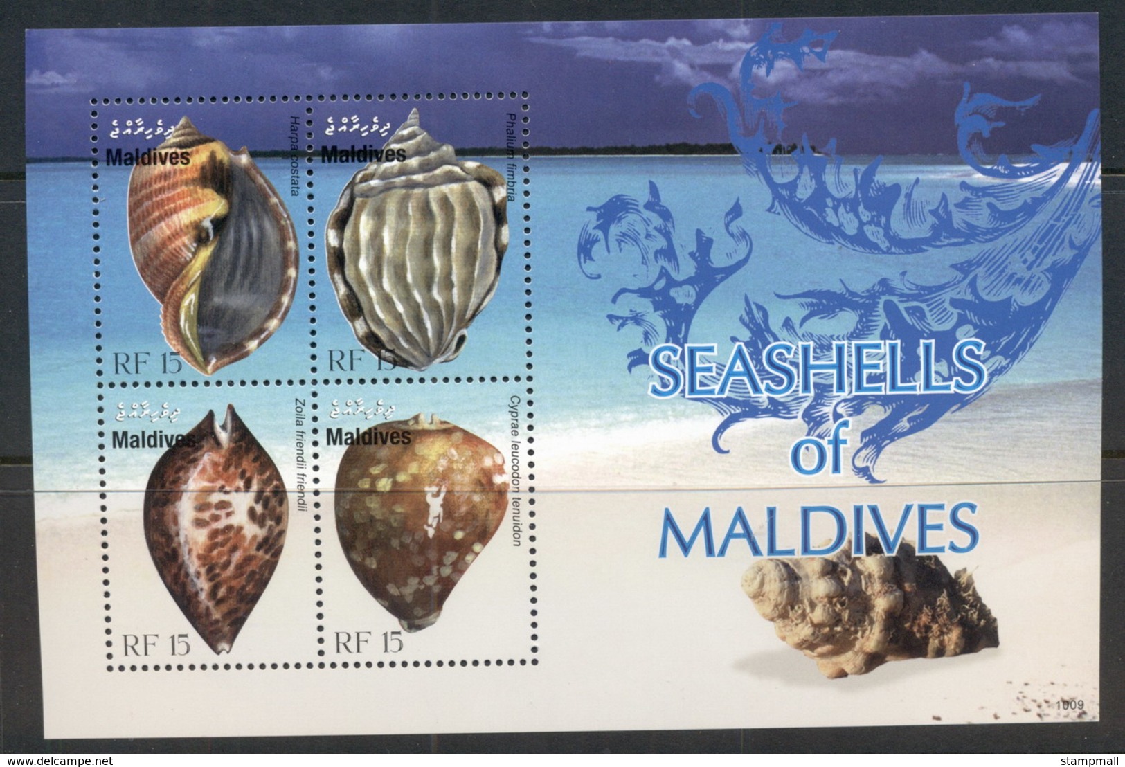 Maldive Is 2010 Shells MS MUH - Maldives (1965-...)