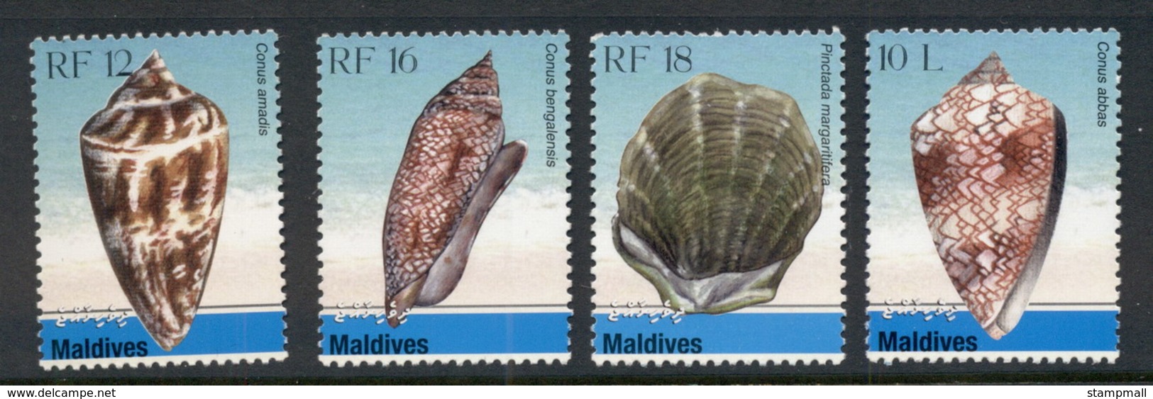 Maldive Is 2010 Shells MUH - Maldives (1965-...)