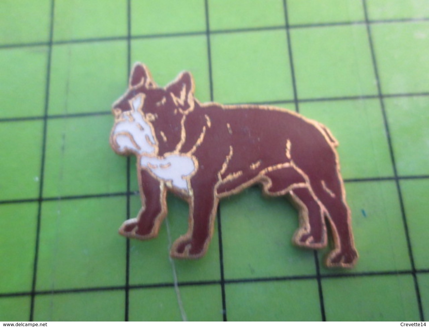 210B Pin's Pins / Beau Et Rare : Thème ANIMAUX : SUPERBE CHIEN BLANC ET MARRON BOULEDOGUE - Football