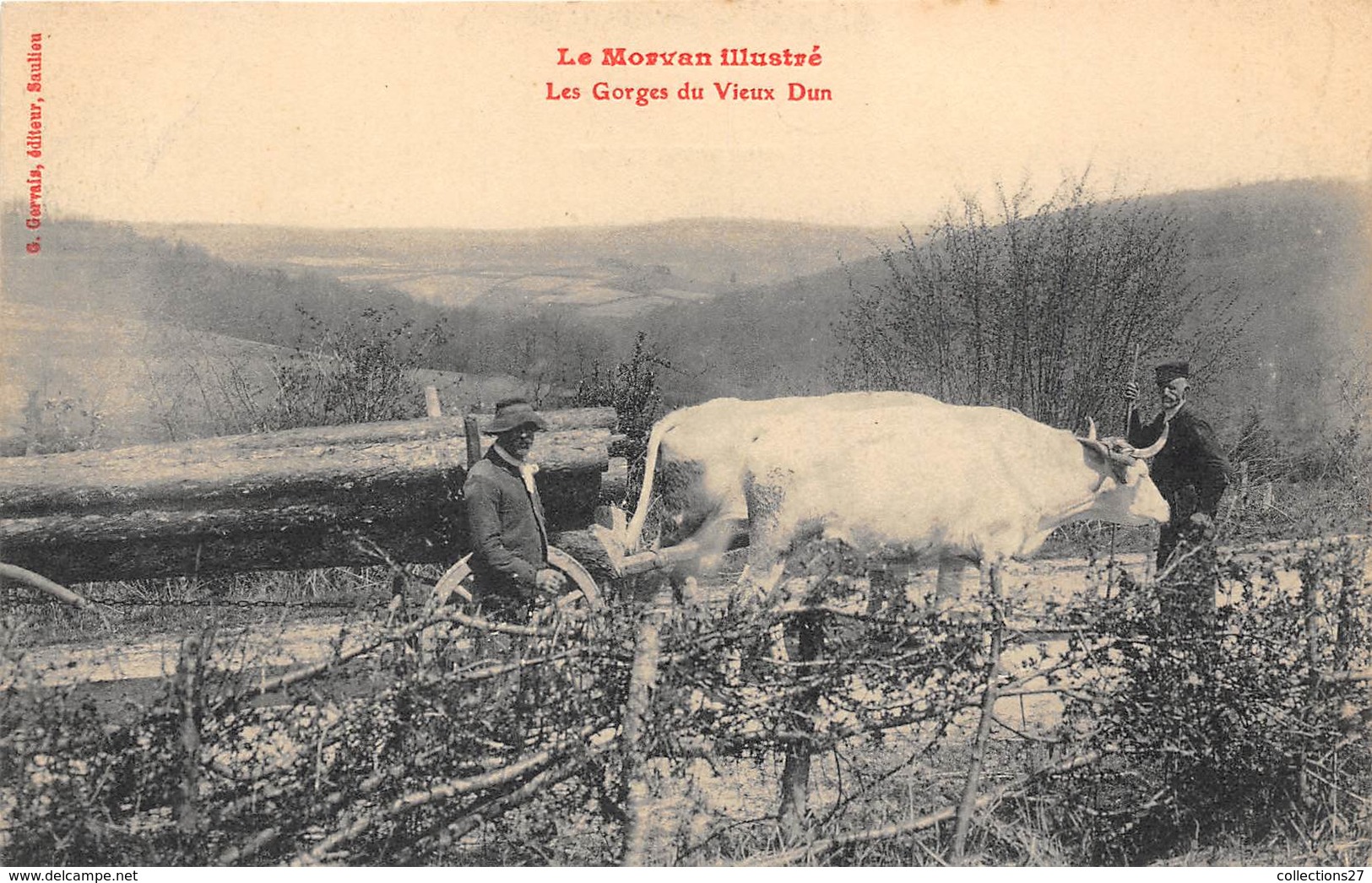 58-LE MORVAN ILLUSTRE- LES GORGES DU VIEUX DUN - Other & Unclassified