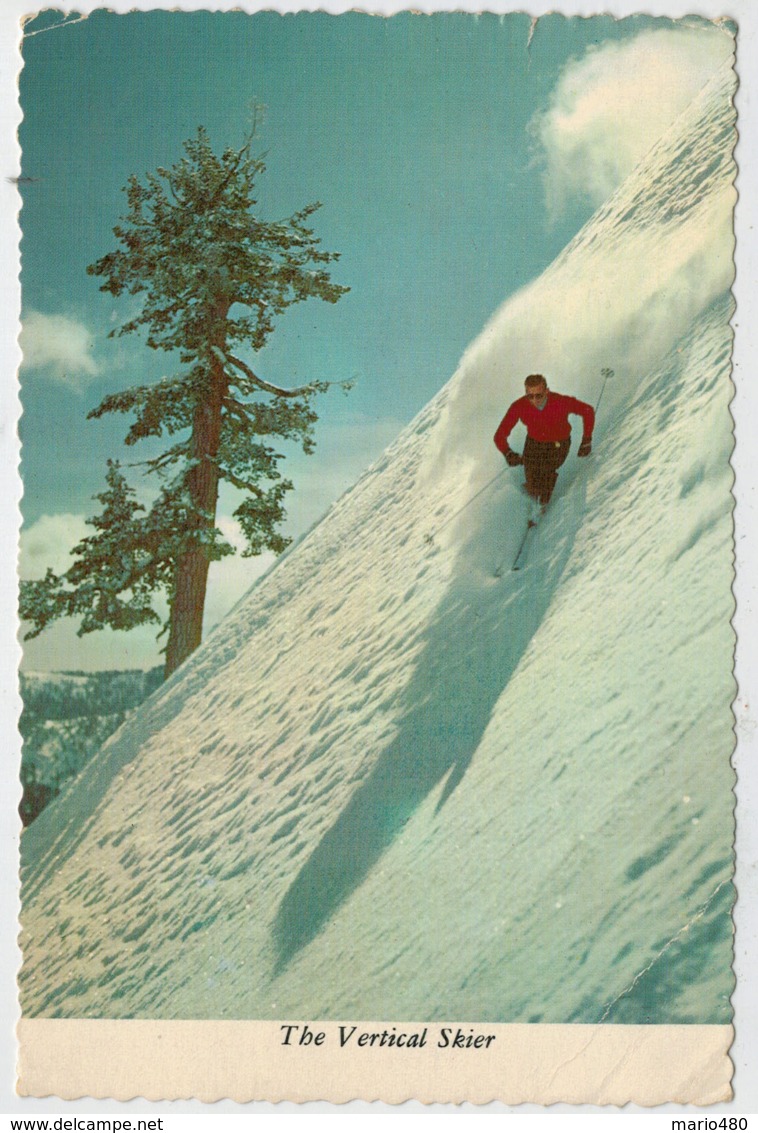 RECING DOWN  A SHEER SLOE AT  SQUOW  VALLEY, LAKE TAHOE, CALIF.         2  SCAN     (VIAGGIATA) - Altri & Non Classificati