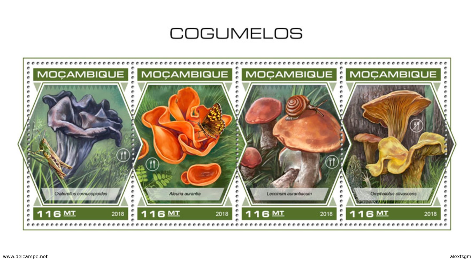 MOZAMBIQUE 2018 - Mushrooms. Official Issue - Hongos