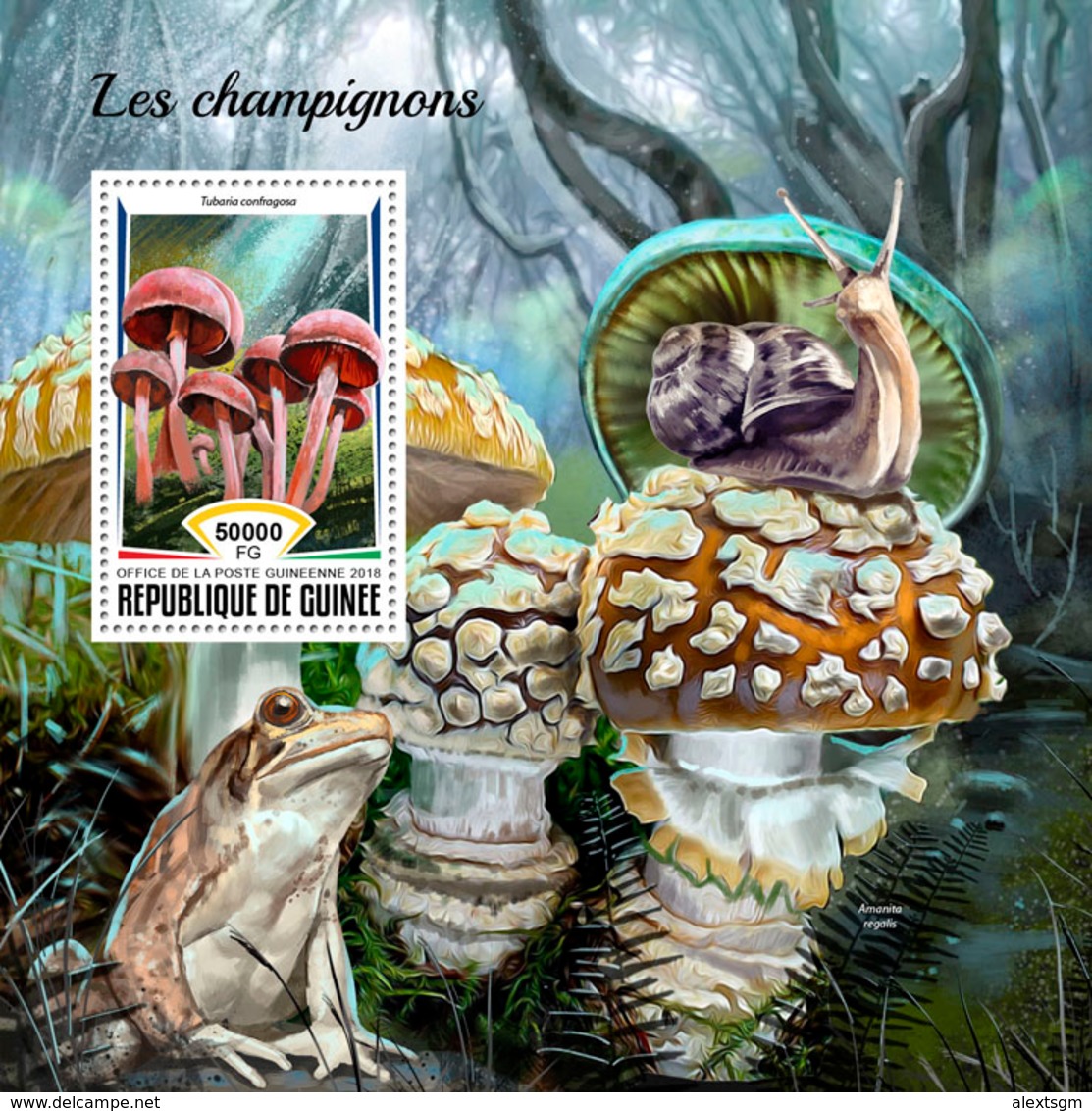 GUINEA 2018 - Mushrooms S/S. Official Issue - Funghi