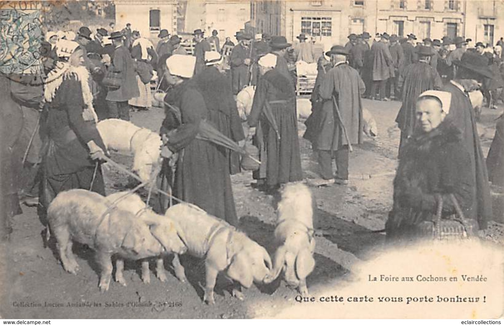 La Roche Sur Yon    85     La Foire Aux Cochons. Que Cette Carte Vous Porte Bonheur    (voir Scan) - La Roche Sur Yon