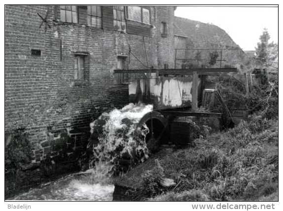 OTTERGEM Bij Erpe-Mere (O.Vl.) - Molen/moulin - Historische Opname (1992) Van 'de Watermeulen' Nog In Vol Bedrijf - Erpe-Mere