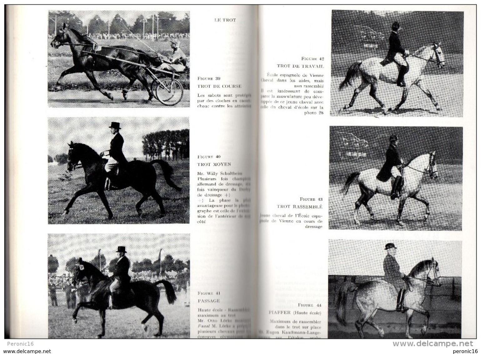 Wilhem Müseler, Equitation, 2e édition, Berger-Levraut, Paris, 1967 - Ruitersport