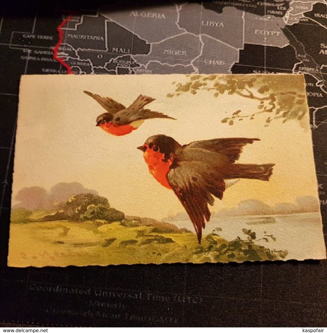 Deux Oiseaux En Vol (D) - Pájaros