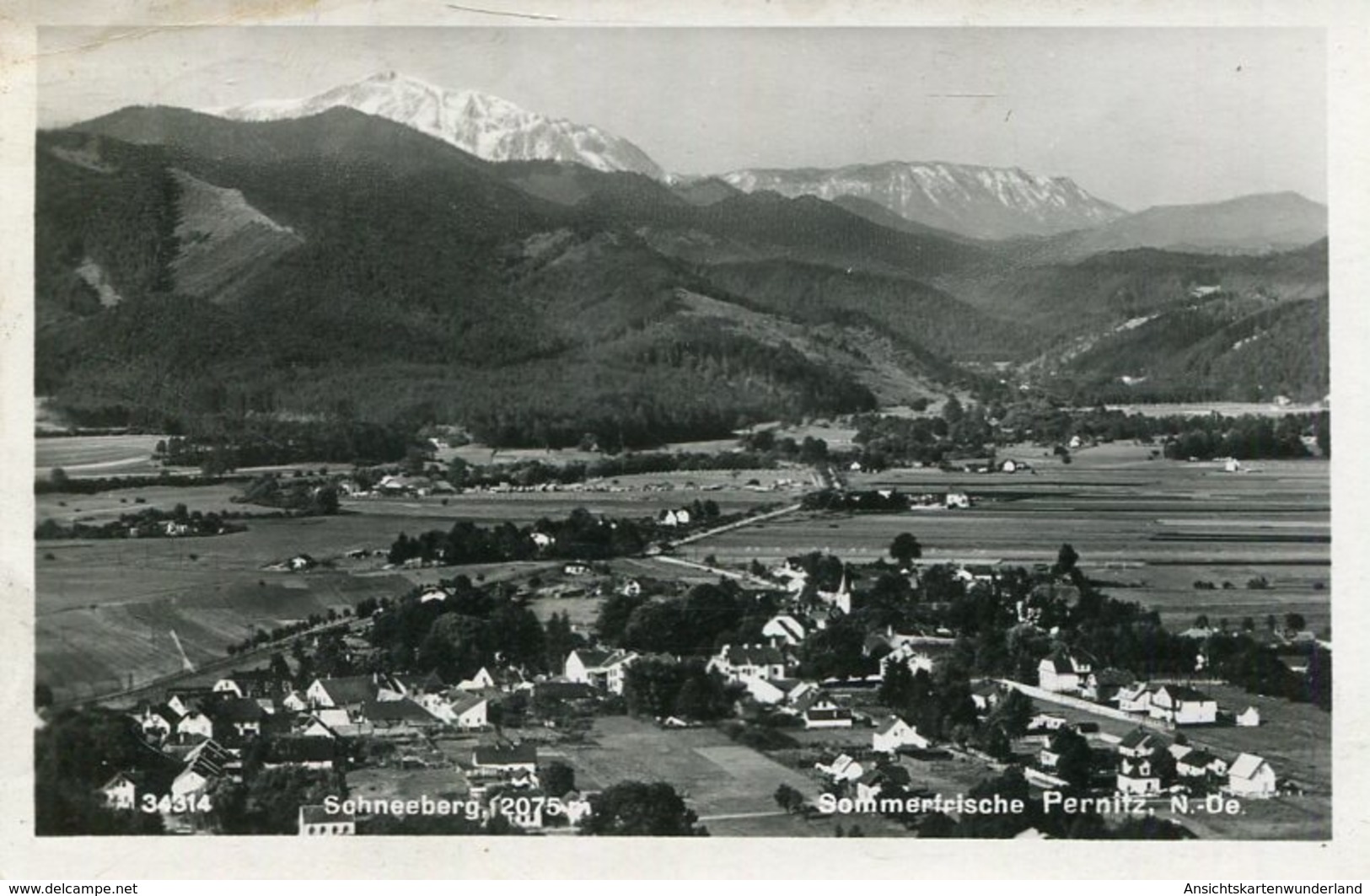 005445  Sommerfrische Pernitz Mit Schneeberg  1938 - Pernitz