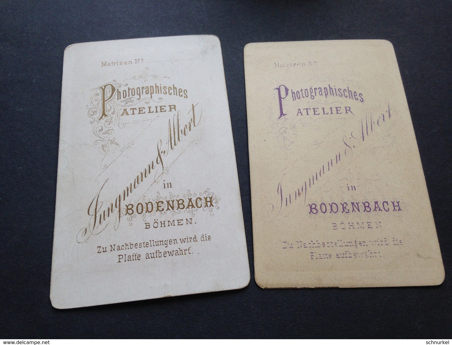 BODENBACH - JUNGMANN & ALBERT - 1873 - JUNGER HERR - CHARMANTE JUNGE DAME - COIFFURE - Orte