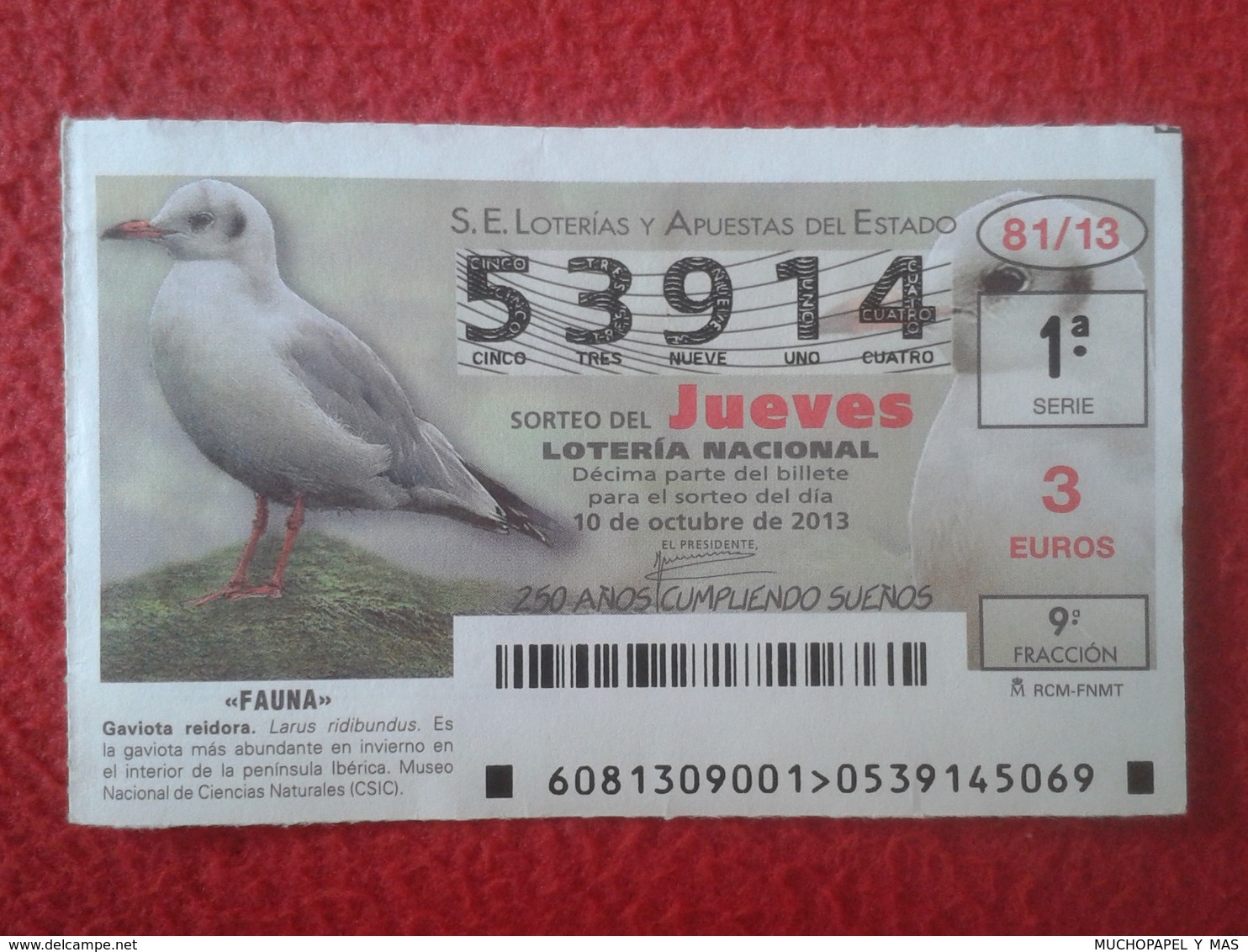 SPAIN ESPAGNE DÉCIMO DE LOTERÍA NACIONAL NATIONAL LOTTERY FAUNA FAUNE GAVIOTA REIDORA SEAGULL MOUETTE LOTERIE 2013 VER F - Lottery Tickets