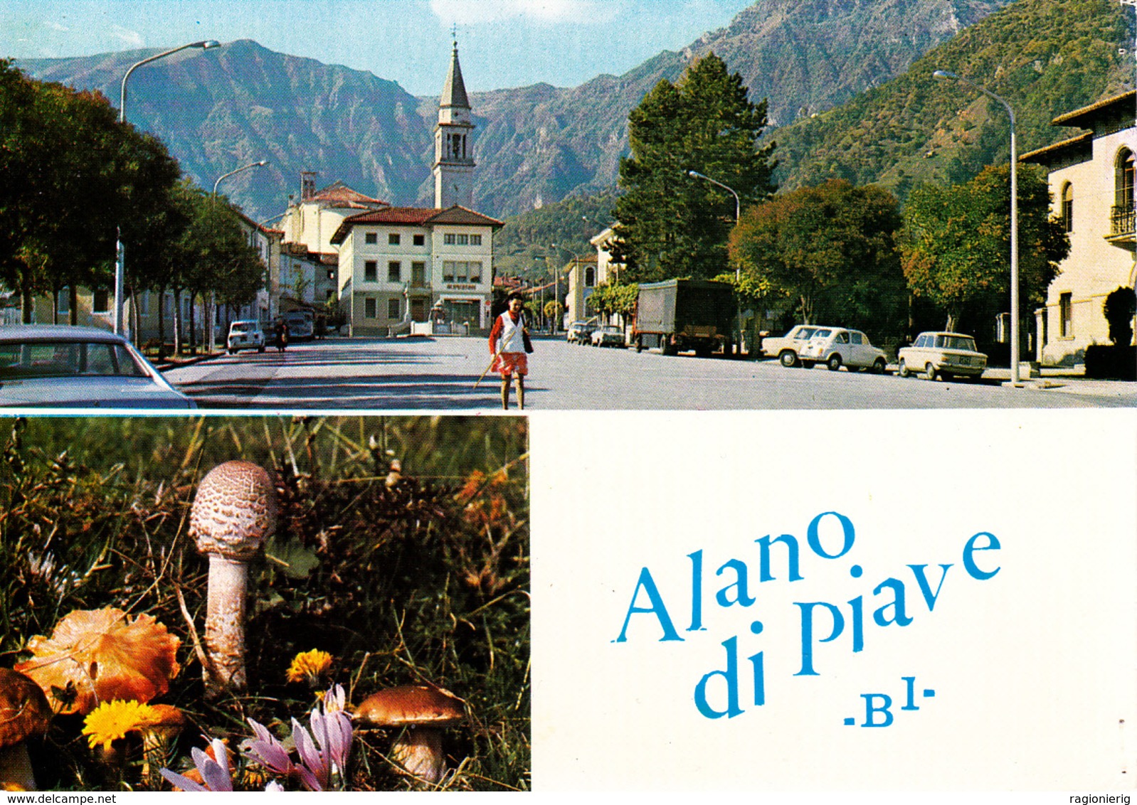 BELLUNO - Alano Di Piave - Panorama - Funghi / Fungo - 1973 - Belluno