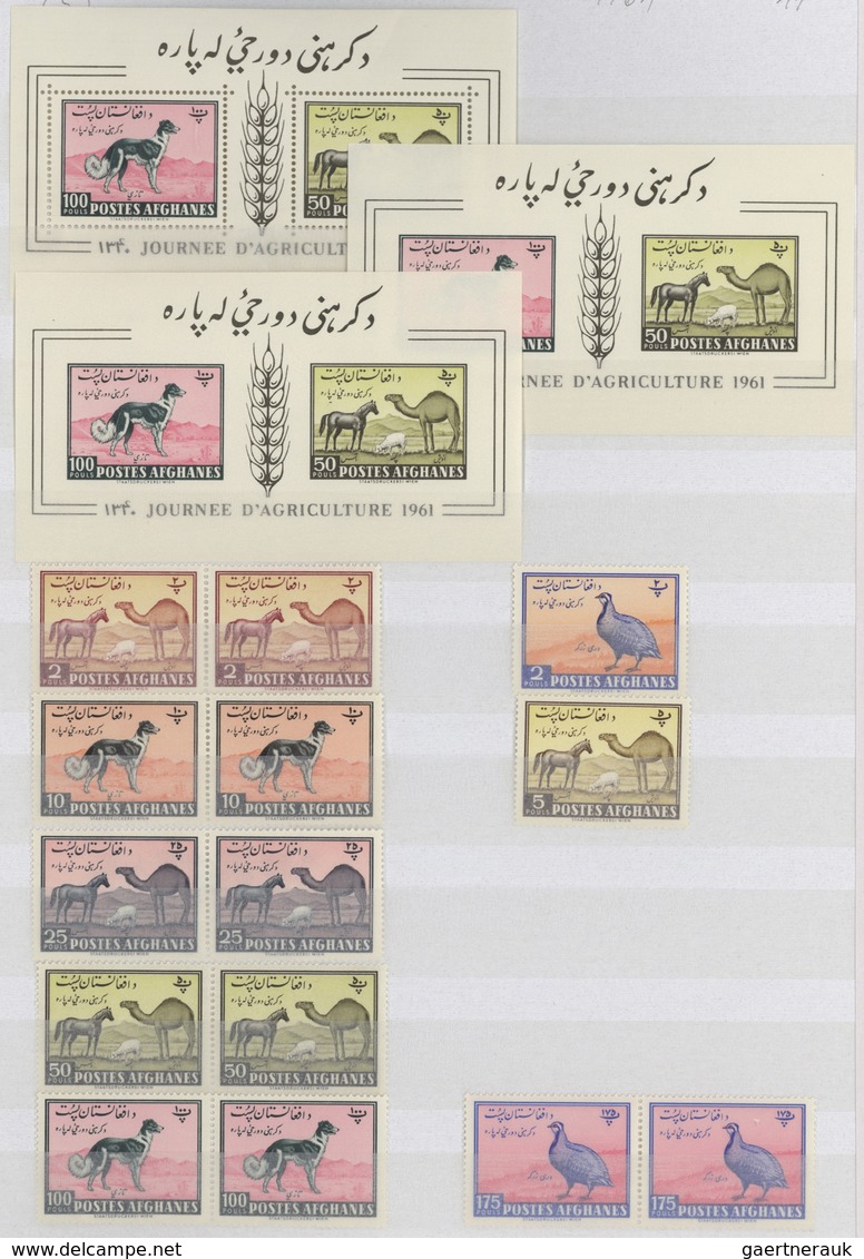 Afghanistan: 1958/1974 (approx). Big Stock Book Well-filled (and 14 Pages Additionally) With Stamps - Afghanistan