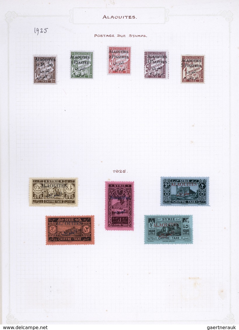 Alawiten-Gebiet: 1925/1929, Mint Assortment On Album Pages, Comprising Some Varieties Like "ALAOCITE - Nuevos