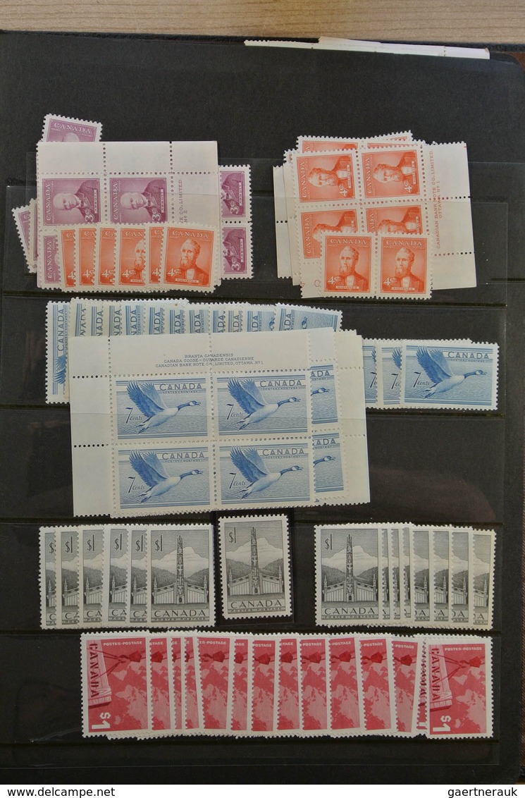 Canada: 1902-1972. Extensive MNH and mint hinged stock Canada 1902-1972 in 4 stockbooks, including m