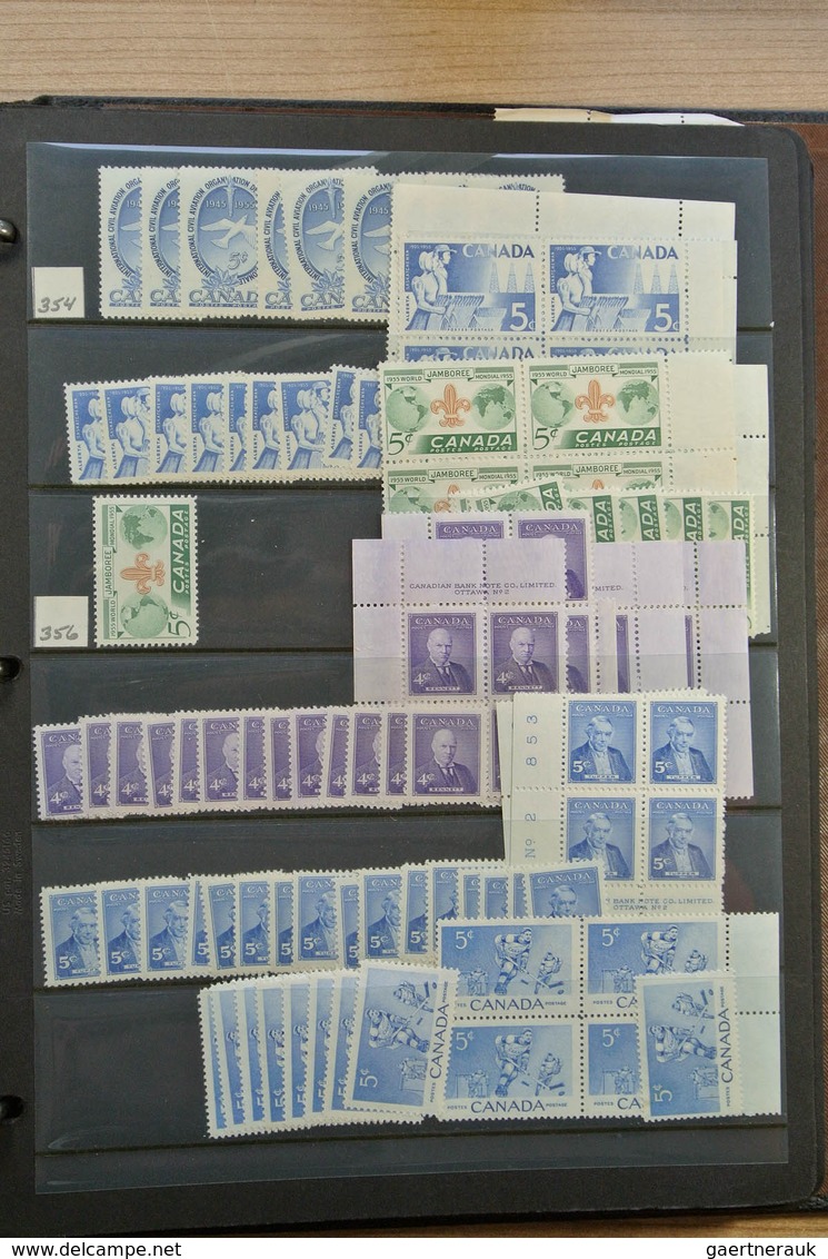 Canada: 1902-1972. Extensive MNH and mint hinged stock Canada 1902-1972 in 4 stockbooks, including m