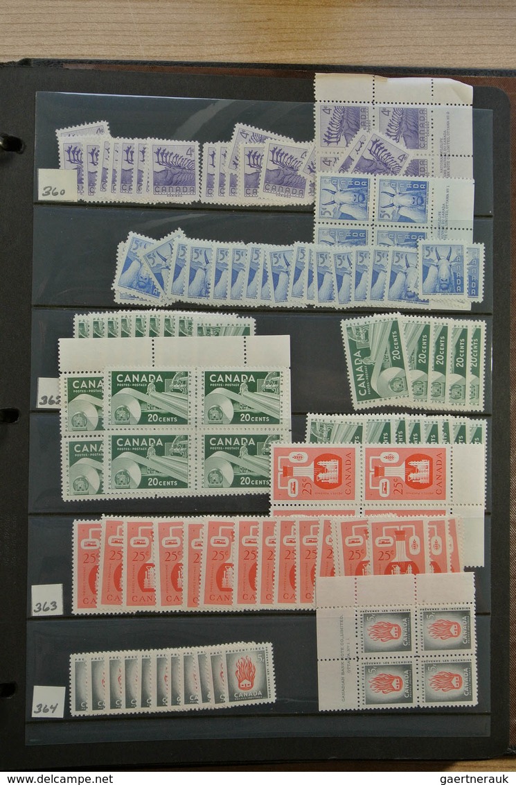 Canada: 1902-1972. Extensive MNH and mint hinged stock Canada 1902-1972 in 4 stockbooks, including m