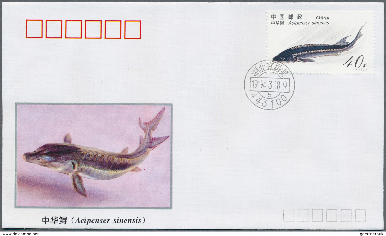 China - Volksrepublik: 1993/1997 STOCK OF APPRX. 18.500 FDCs. This Impressive Holding Was Accumulate - Autres & Non Classés