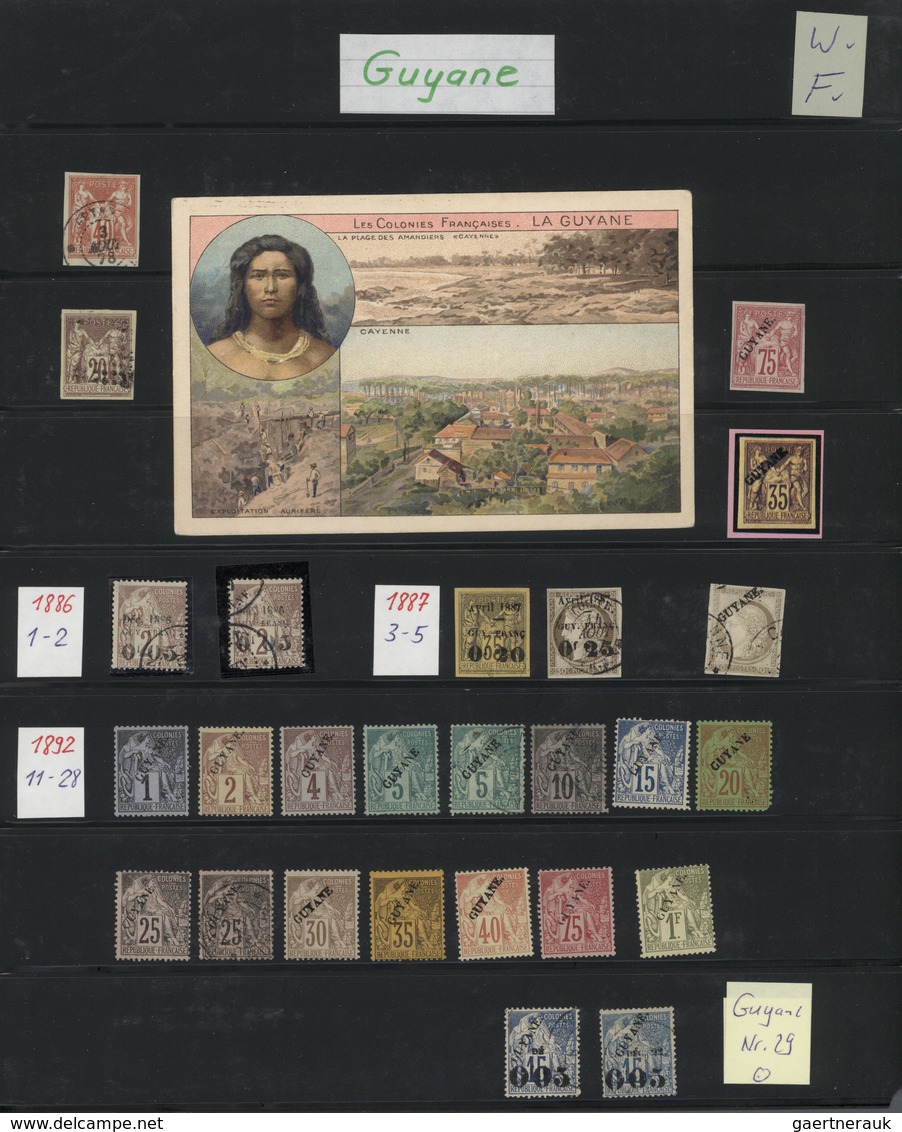 Französisch-Guyana: 1821/1900, Mint And Used Collection On Stockpages From A Good Section Early Over - Nuevos