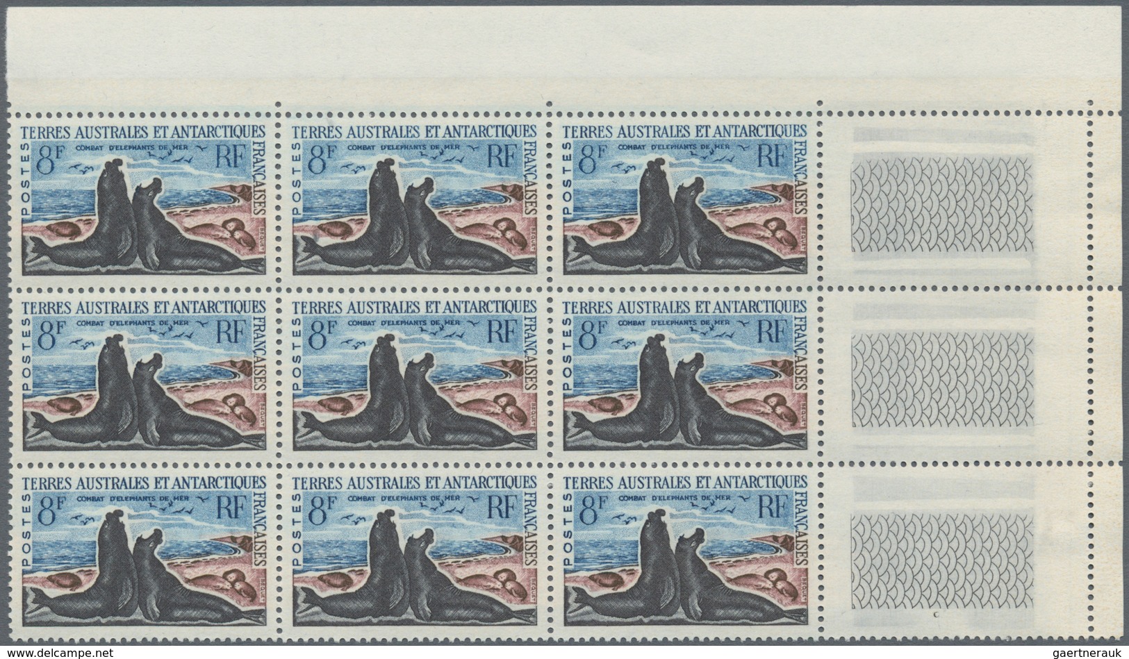 Französische Gebiete In Der Antarktis: 1962, Sea Elephant 8fr. In A Lot With 90 Stamps Mostly In Lar - Lettres & Documents
