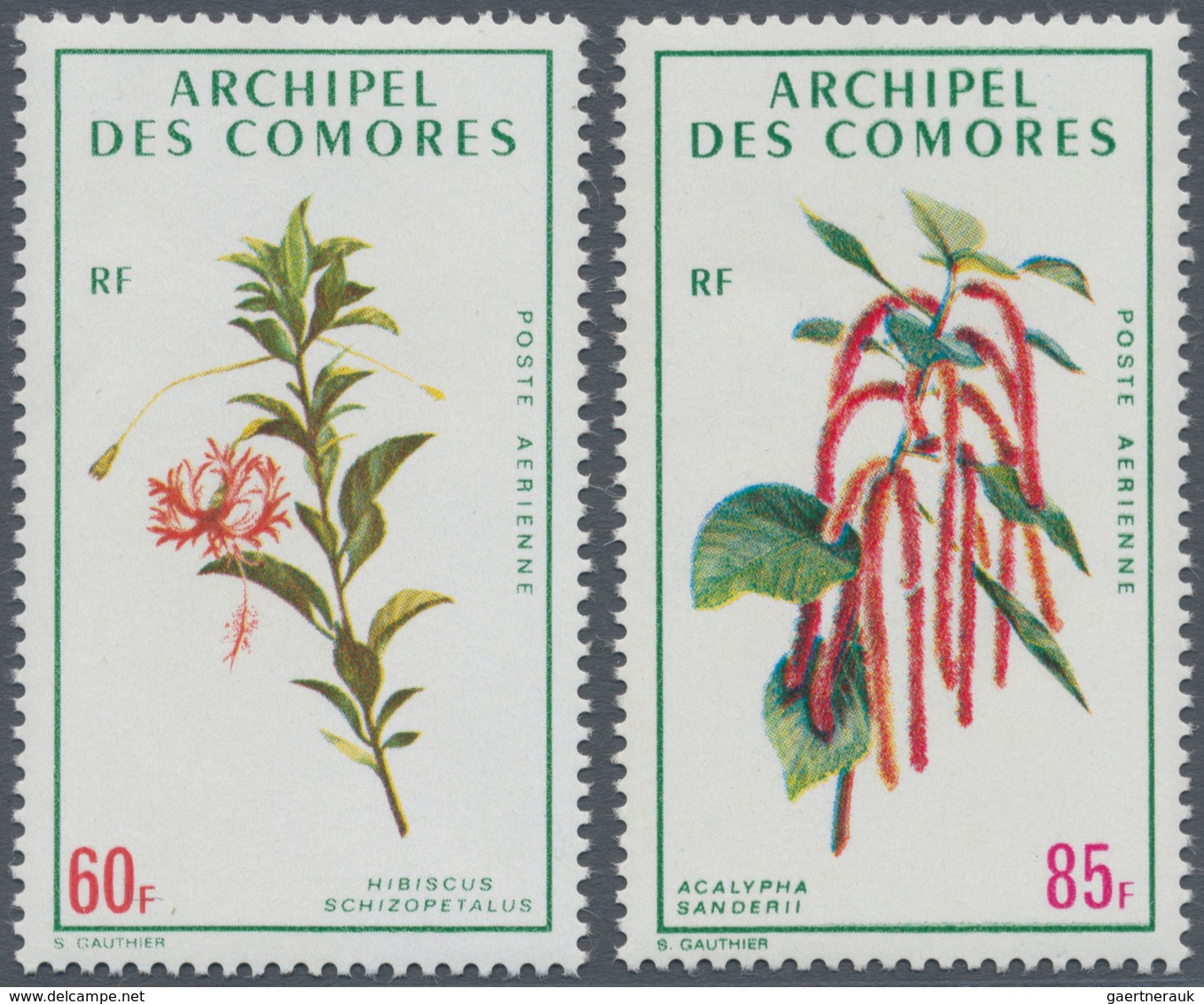 Komoren: 1971, Flowers Airmail Stamps 60fr. ‚Hibiscus Schizopetalus‘ And 85fr. ‚Acalypha Hispida‘ In - Comores (1975-...)