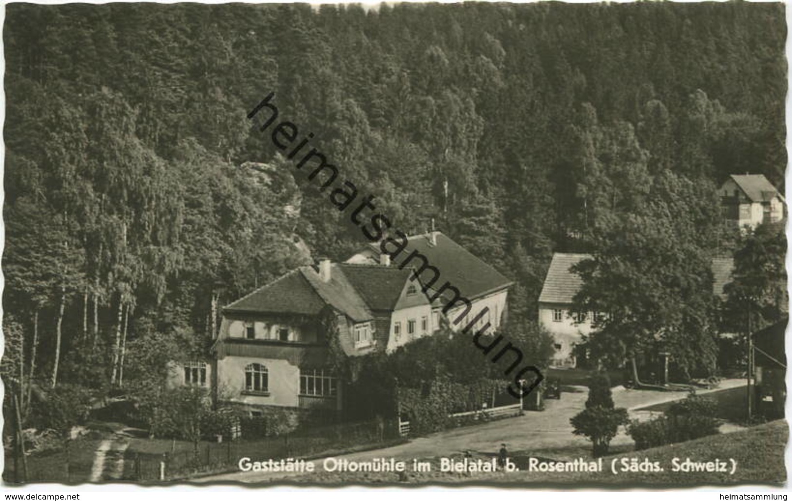 Gaststätte Ottomühle Im Bielatal Bei Rosenthal - Foto-AK - Verlag W. Kenne Dresden Gel. 1966 - Rosenthal-Bielatal